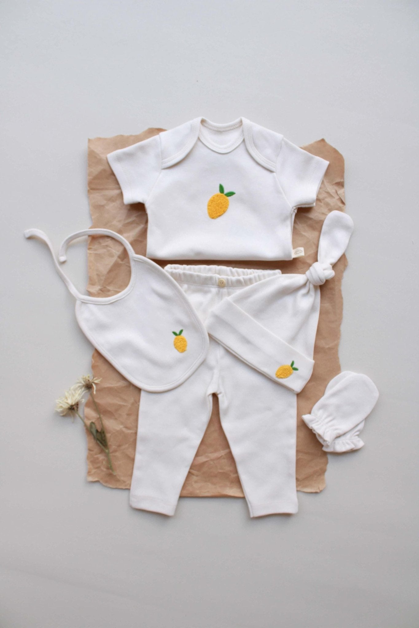 Newborn Gift Set | 100% organic cotton OEKO - TEX® 5 - Piece Bodysuit | Hat, Tights & Gloves for Infant Comfort | Boxed Baby Shower Present - VivimadeCa
