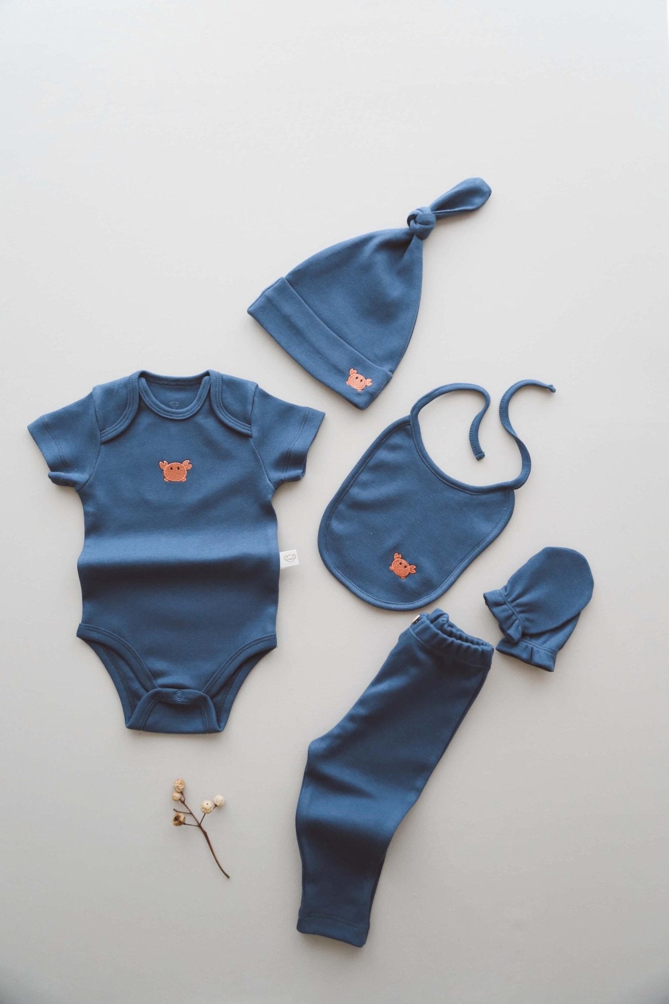 Newborn Gift Set | Boxed Baby Shower Present | 100% organic cotton OEKO - TEX® 5 - Piece Bodysuit | Hat, Tights & Gloves for Infant Comfort - VivimadeCa